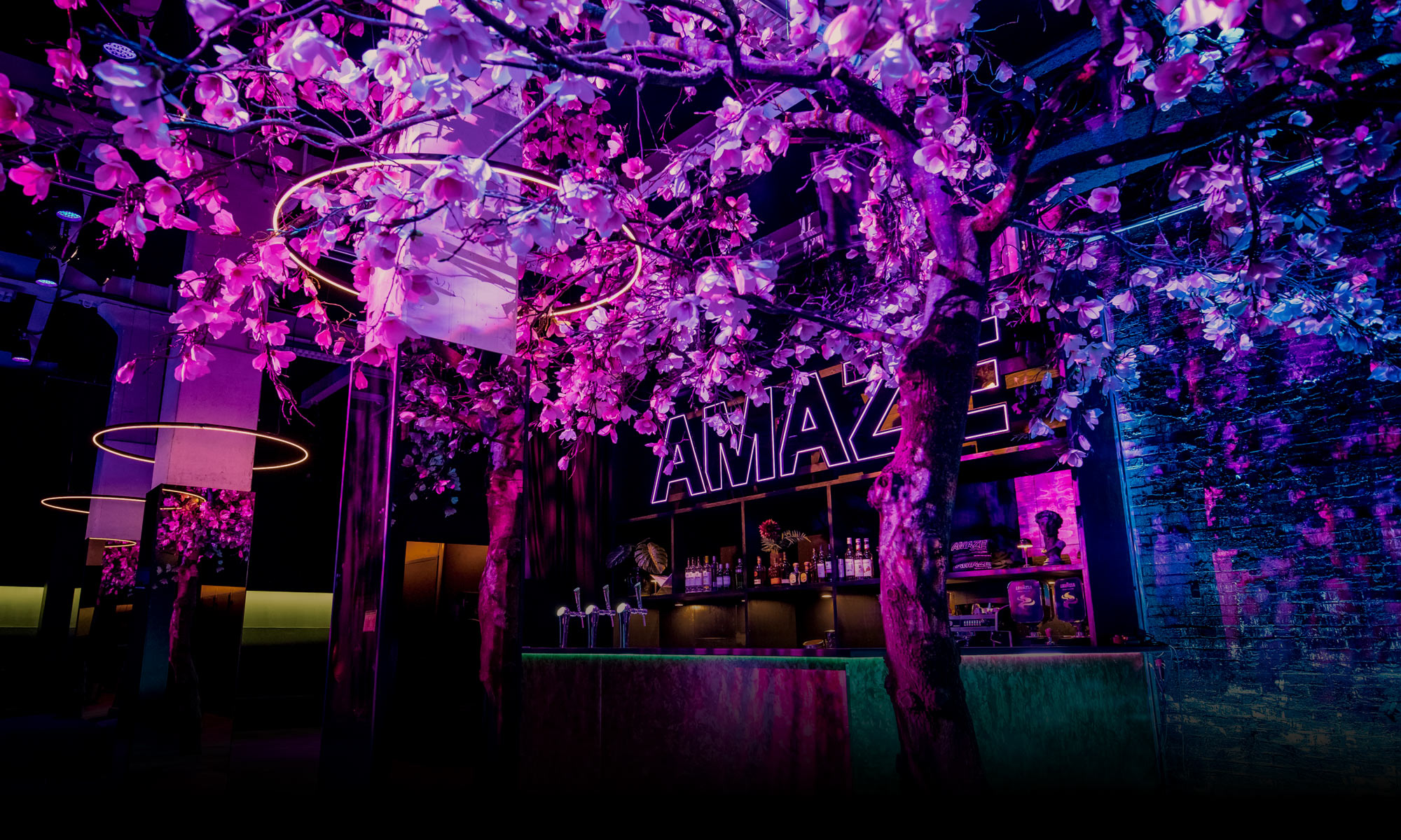 Amaze tunnel